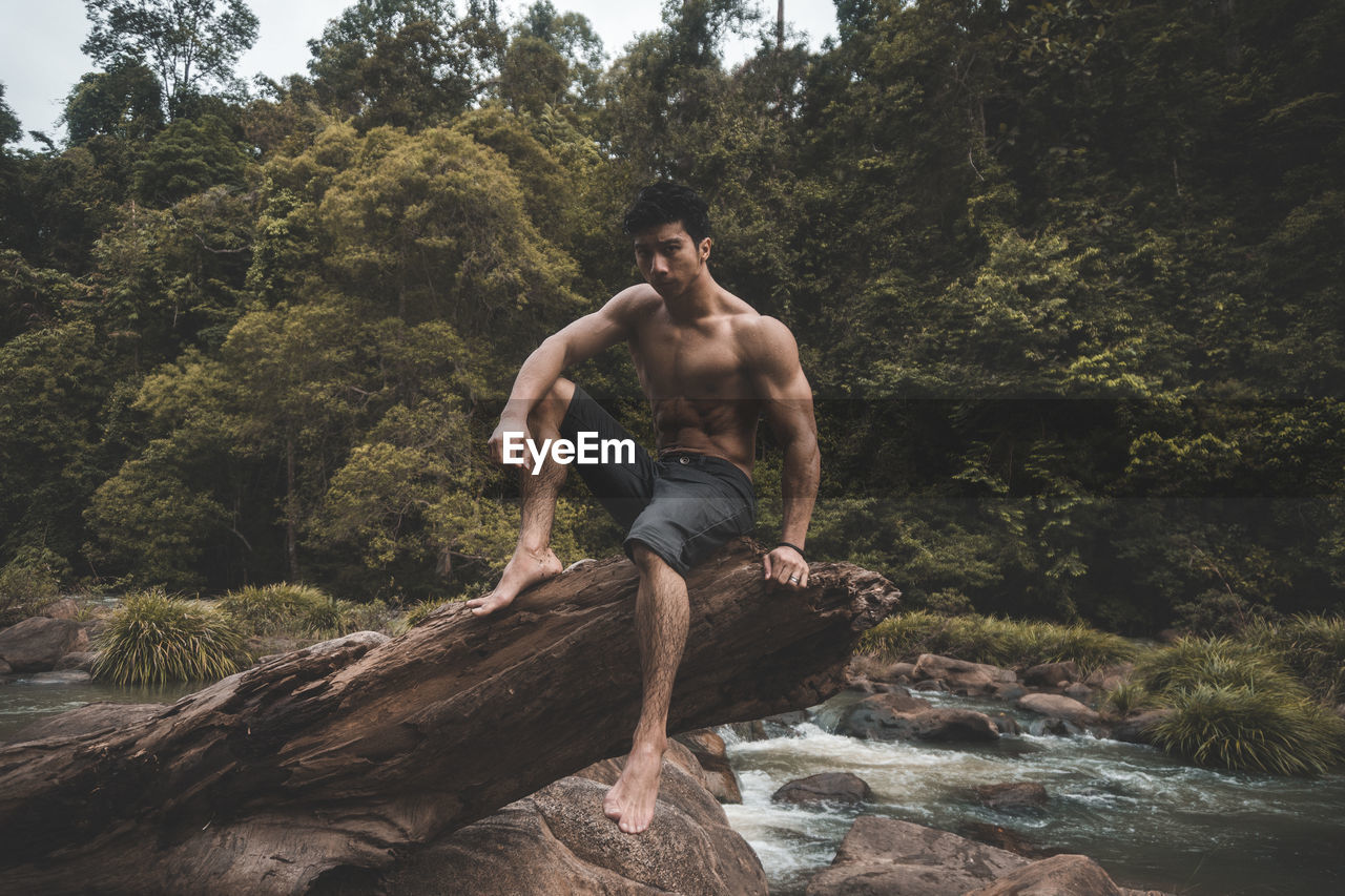 Portrait of shirtless man sitting against trees at forest