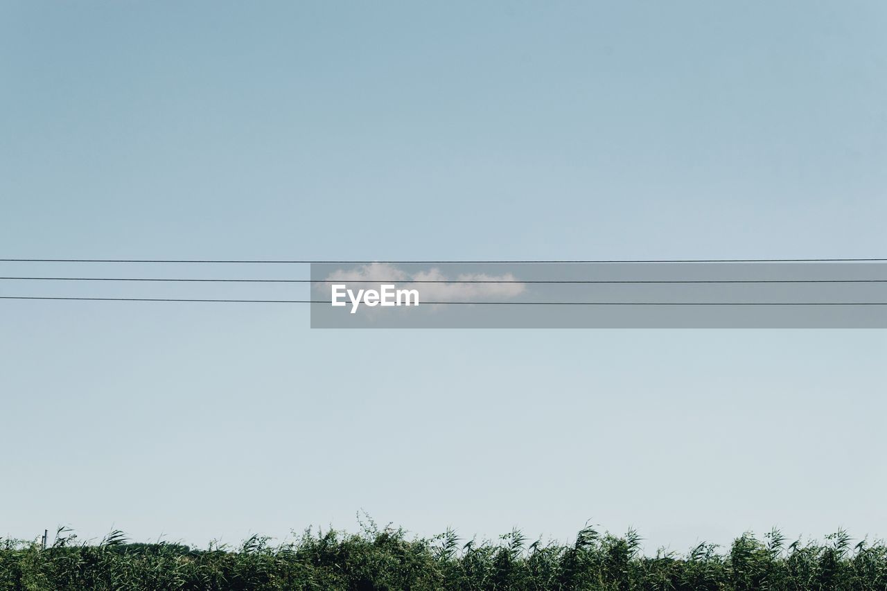 LOW ANGLE VIEW OF POWER LINES AGAINST CLEAR SKY