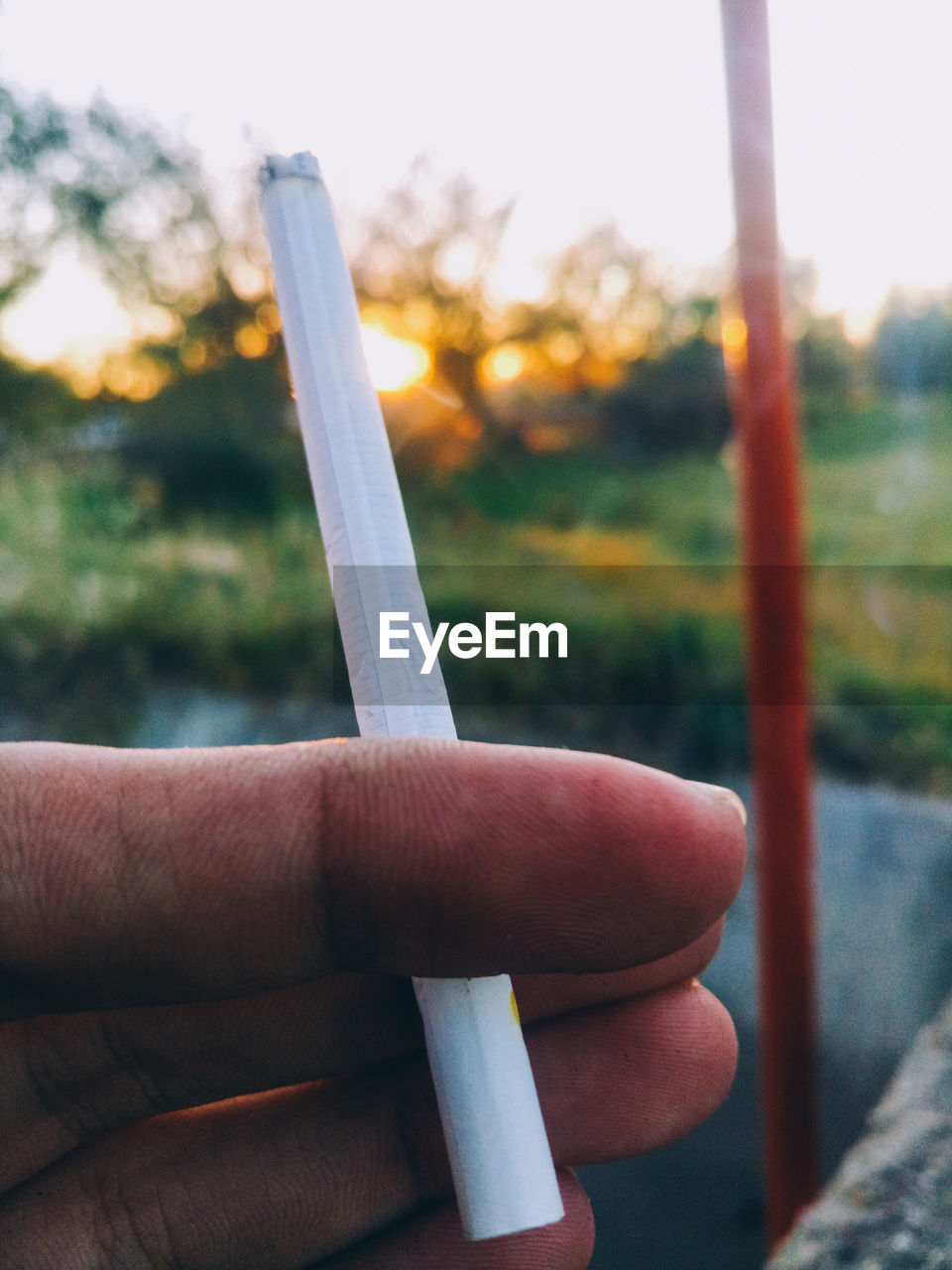 Close-up of hand holding cigarette outdoors