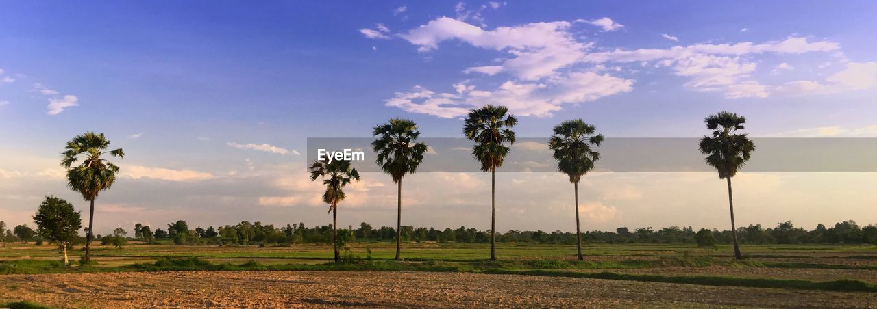 Scenic view of field against cloudy sky