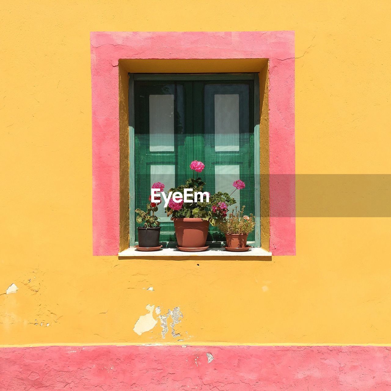 POTTED PLANT ON WINDOW SILL