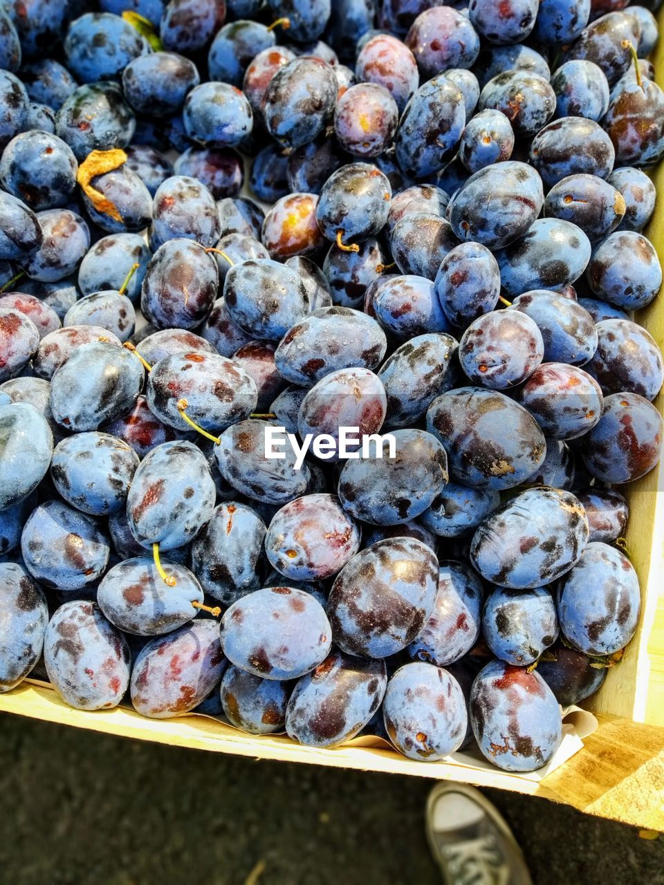 HIGH ANGLE VIEW OF BLUEBERRIES