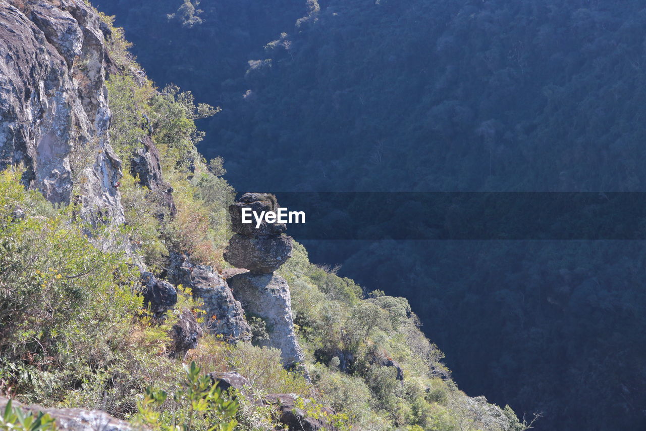 High angle view of tree mountain