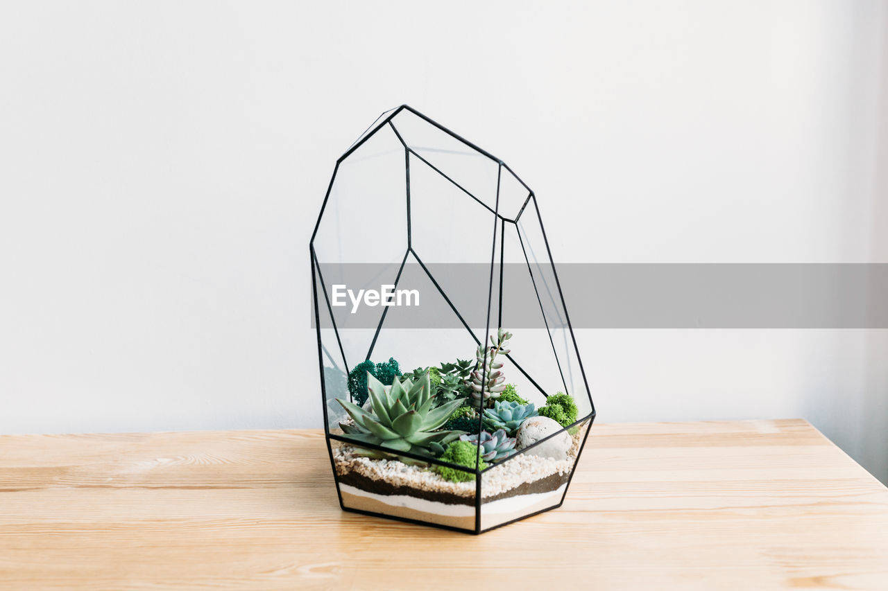 CLOSE-UP OF POTTED PLANT ON TABLE AT HOME