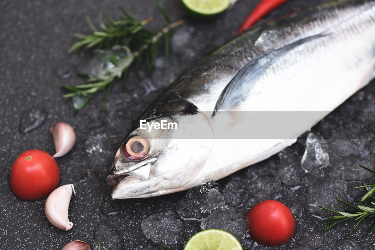 HIGH ANGLE VIEW OF FISH IN A CONTAINER