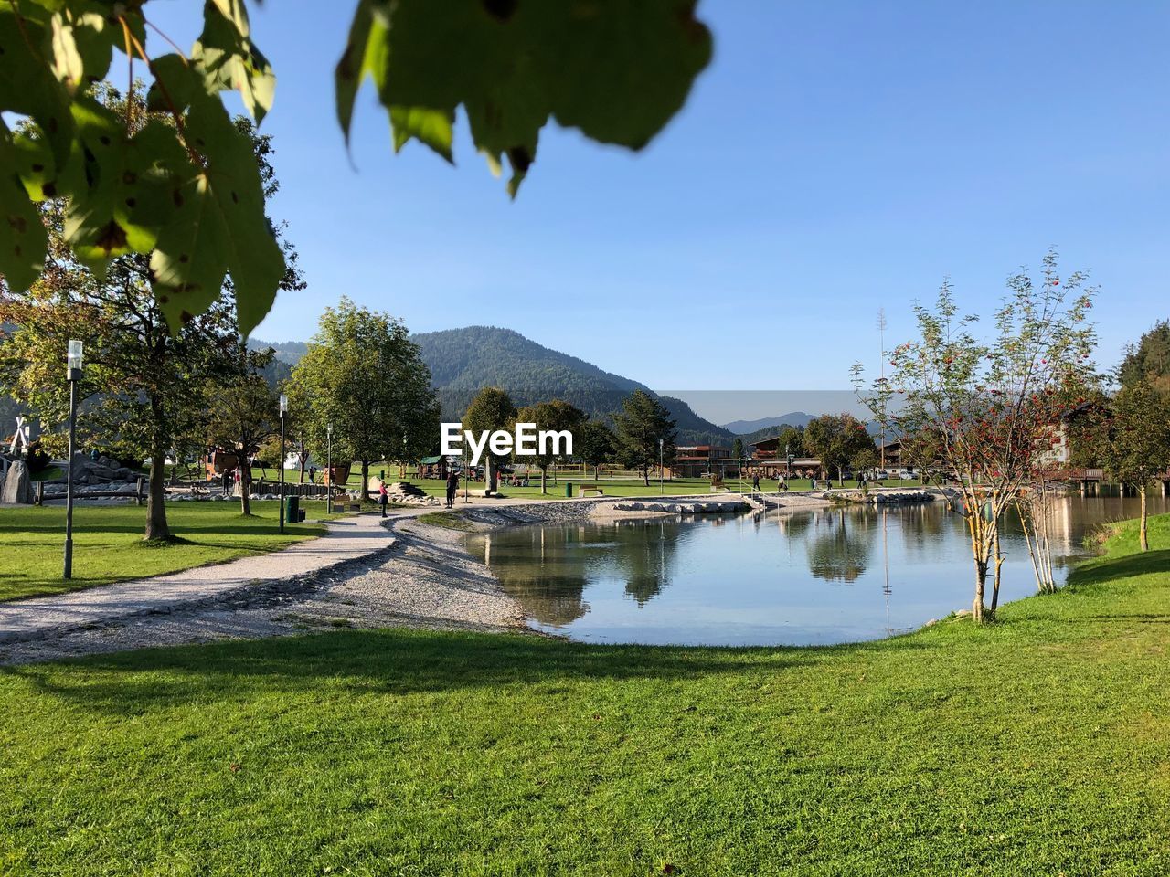 SCENIC VIEW OF LAKE BY TREES ON FIELD AGAINST SKY