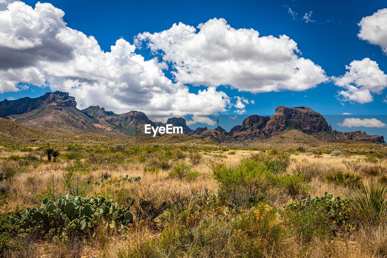 PANORAMIC VIEW OF LANDSCAPE AGAINST SKY