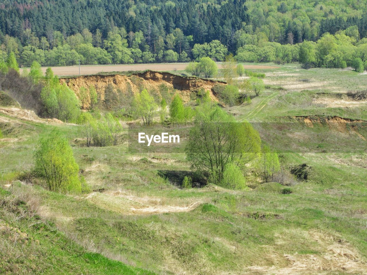 High angle view of trees on landscape