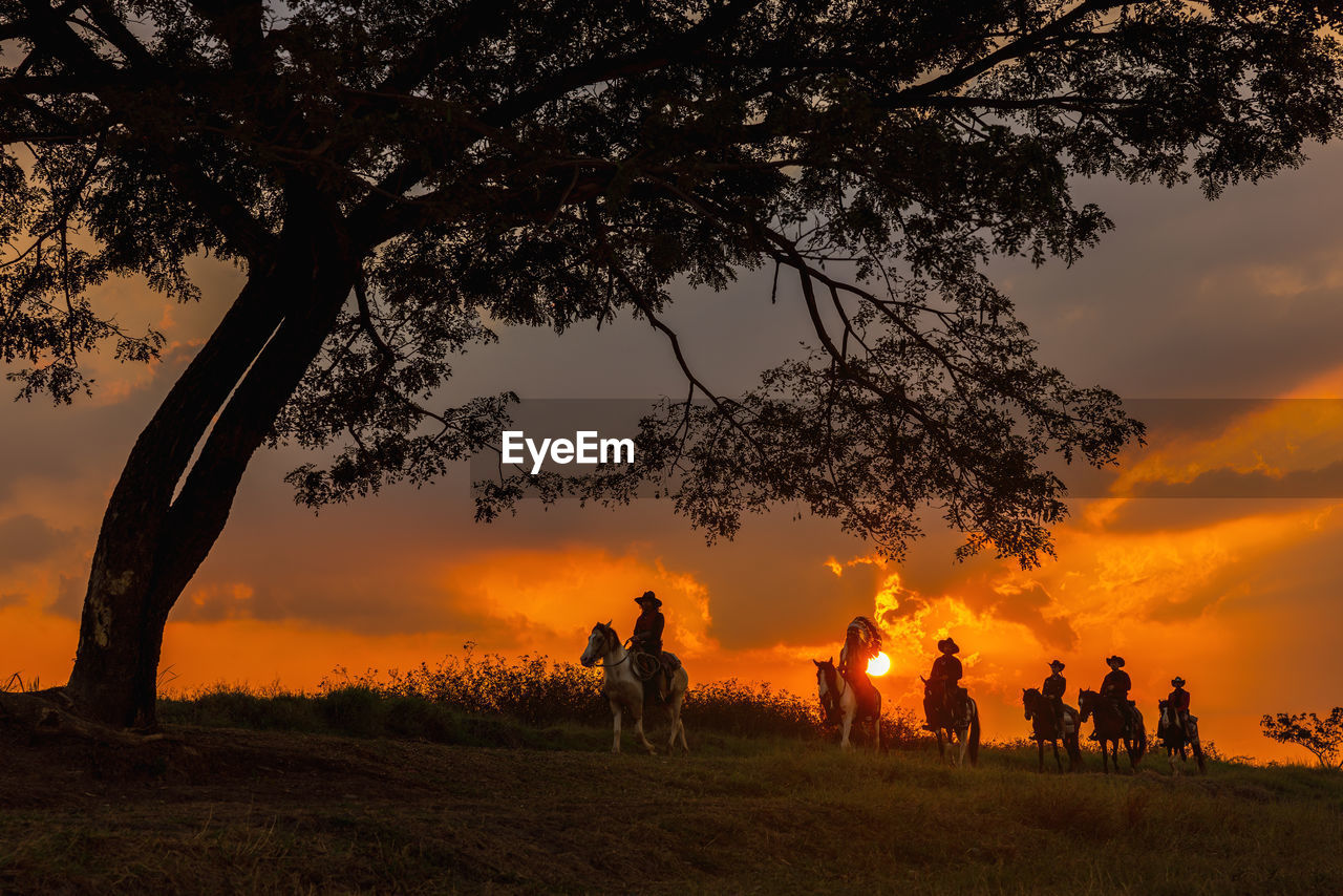 Three men dressed in cowboy garb, with horses and guns. a cowboy riding a horse in the sunset .