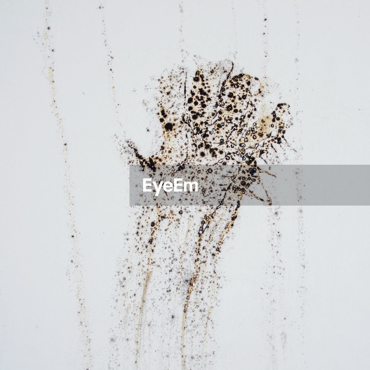 Close-up of pattern on white background