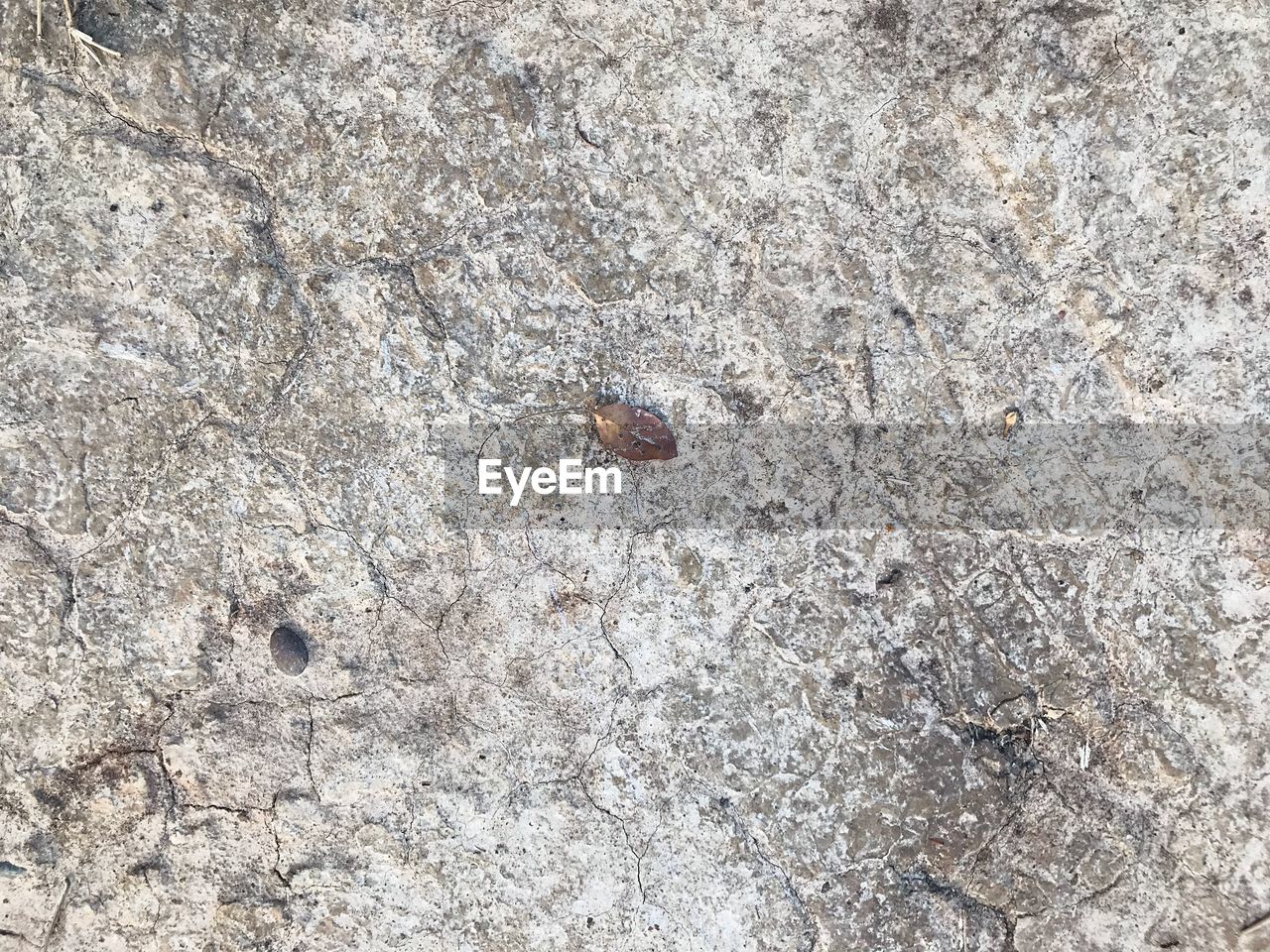 HIGH ANGLE VIEW OF INSECT ON ROCK
