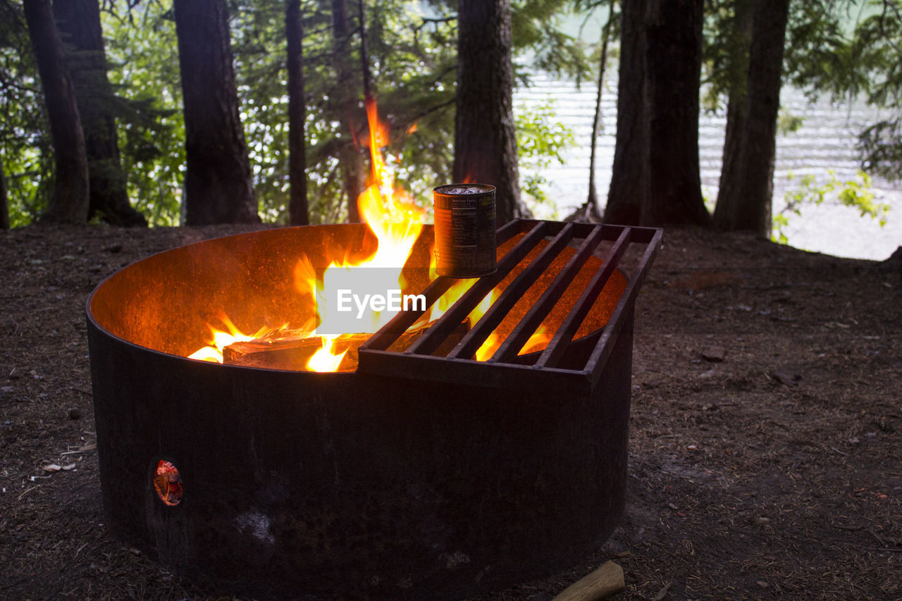 Blurred motion of burning fire pit by trees on field