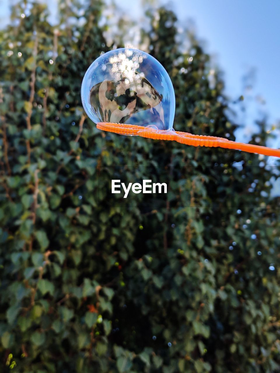 Backyard bubbly