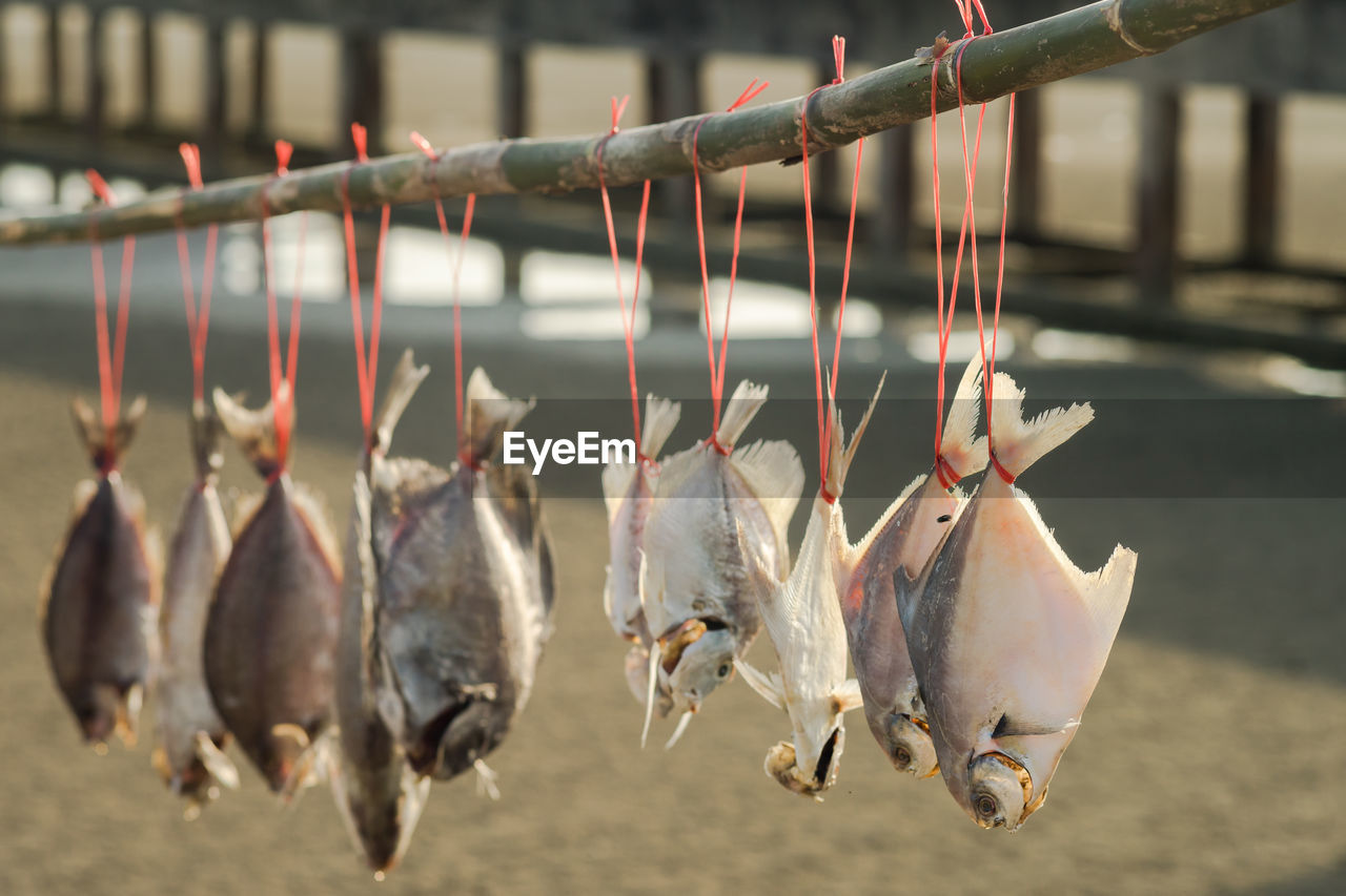 CLOSE-UP OF FISH FOR SALE AT MARKET STALL