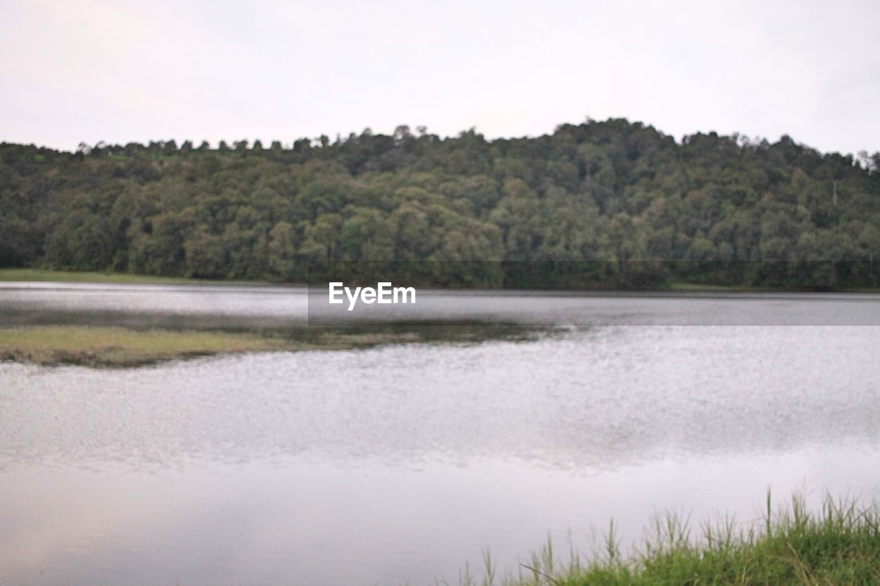 SCENIC VIEW OF LAKE AGAINST TREES