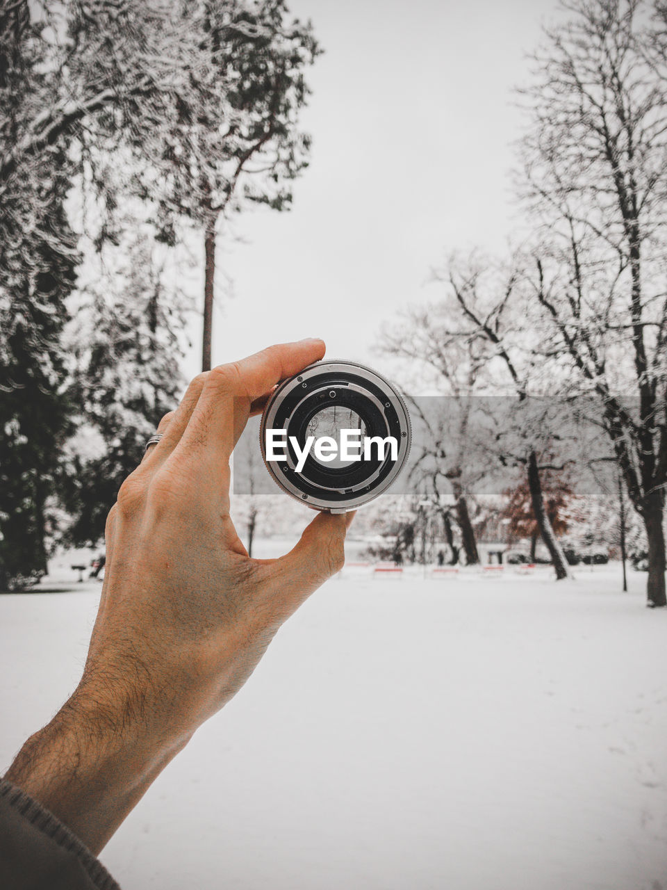 Cropped hand of person holding lens against bare tree during winter
