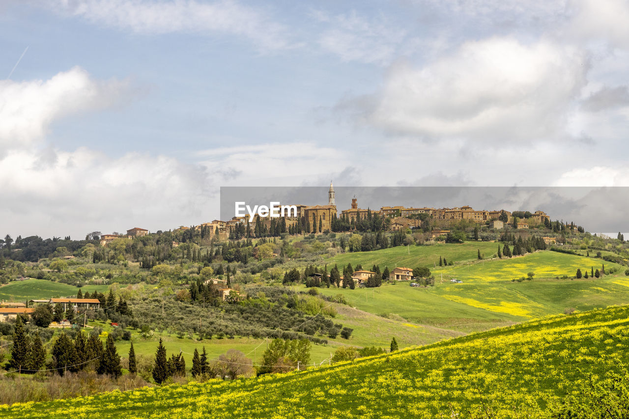 PANORAMIC VIEW OF AGRICULTURAL FIELD AGAINST SKY