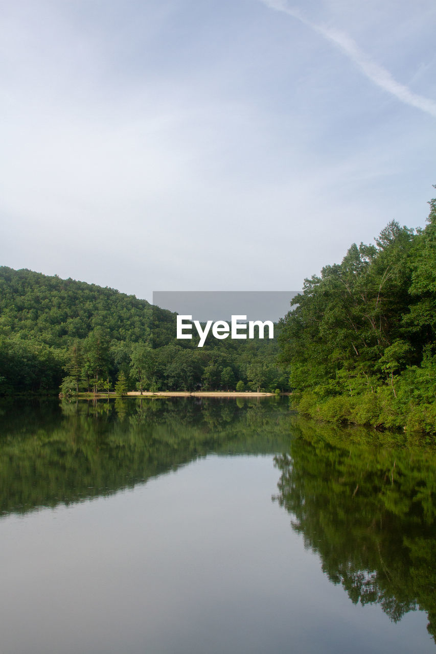 Scenic view of lake in forest against sky