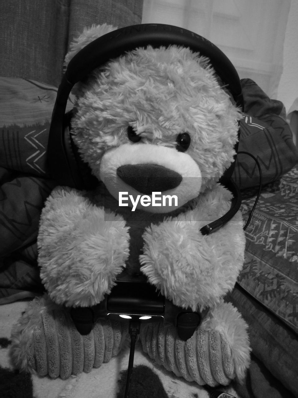 CLOSE-UP OF WHITE FLOWERS