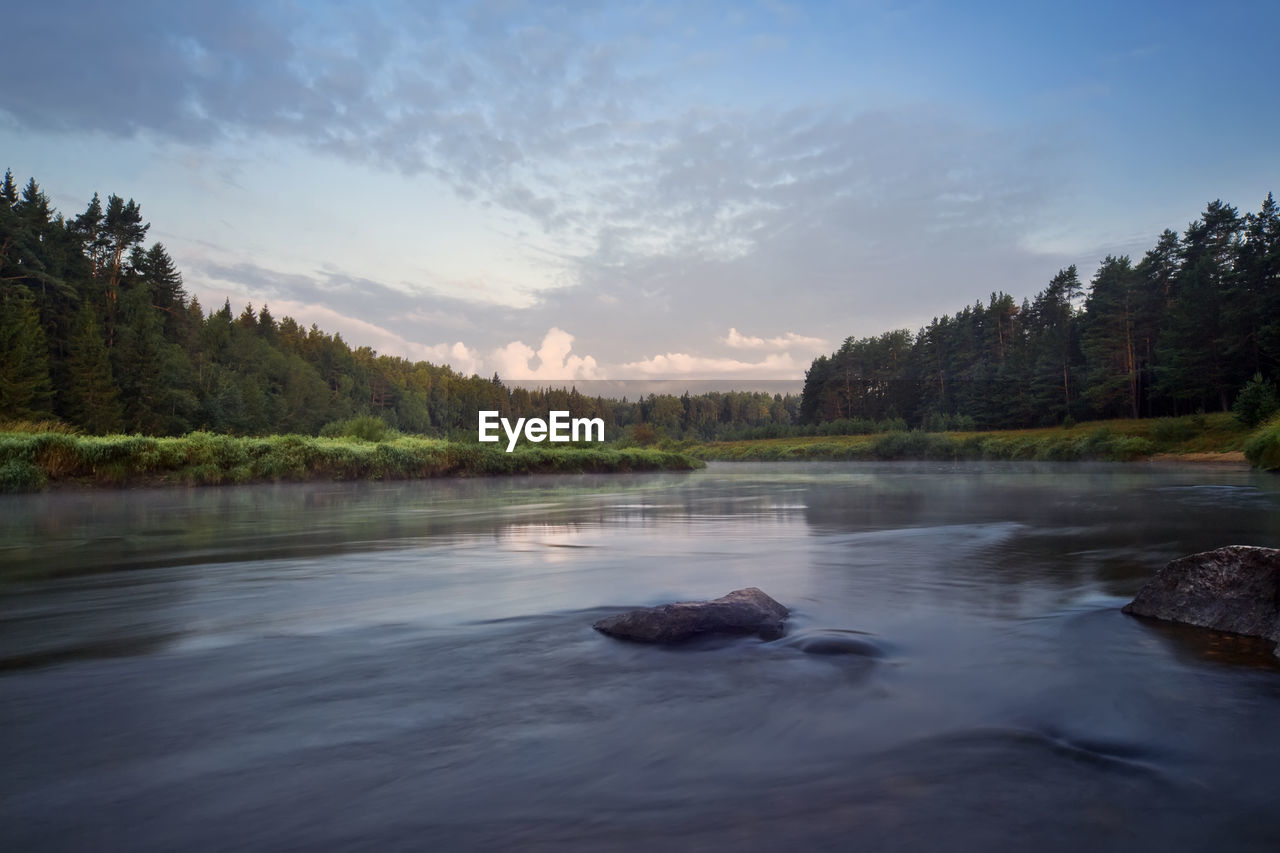 SCENIC VIEW OF LAKE AGAINST SKY IN FOREST