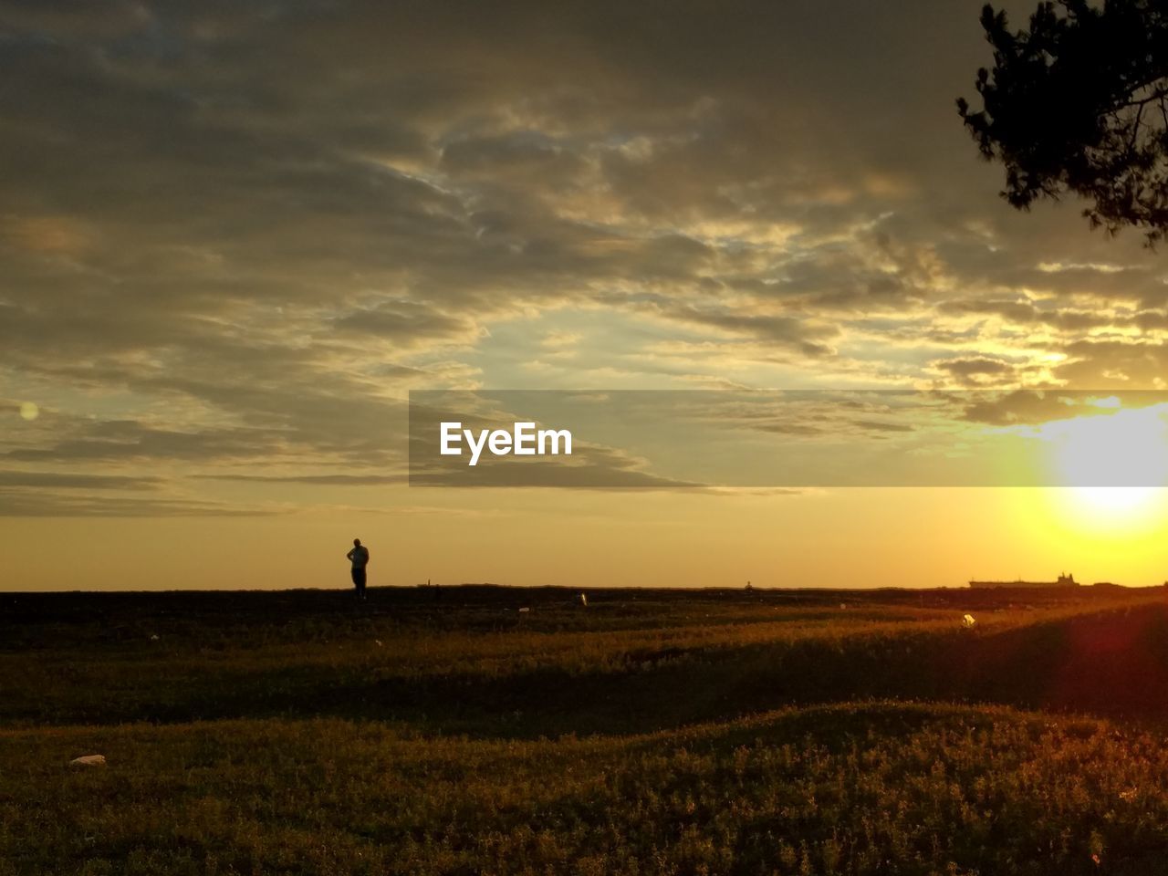 SCENIC VIEW OF FIELD AGAINST SKY DURING SUNSET