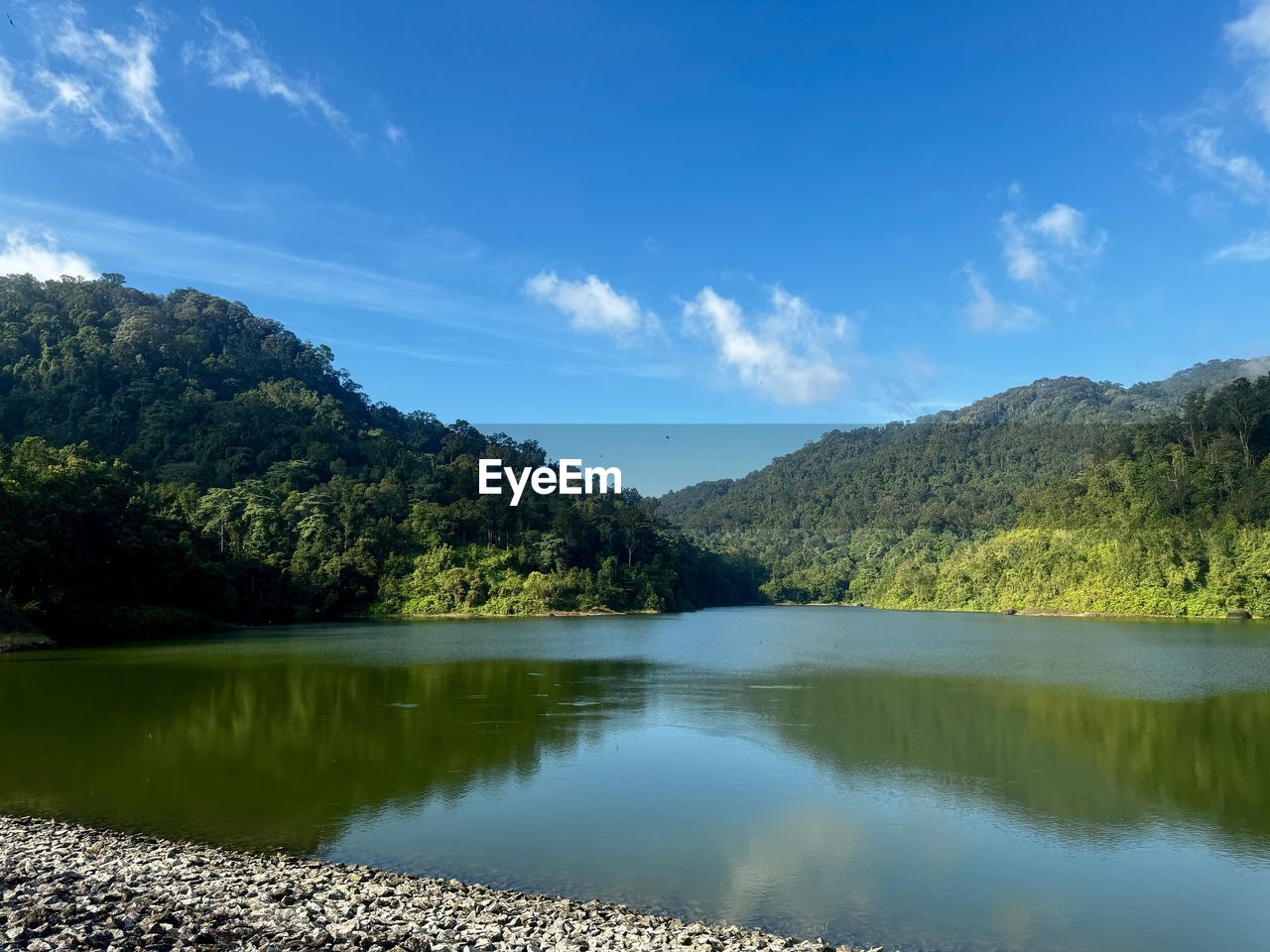water, tree, lake, scenics - nature, sky, beauty in nature, nature, reflection, body of water, plant, mountain, forest, tranquility, environment, tranquil scene, reservoir, landscape, land, no people, cloud, blue, mountain range, wilderness, pine tree, non-urban scene, coniferous tree, green, pinaceae, travel destinations, woodland, idyllic, pine woodland, summer, outdoors, travel, day, tourism, sunlight, activity
