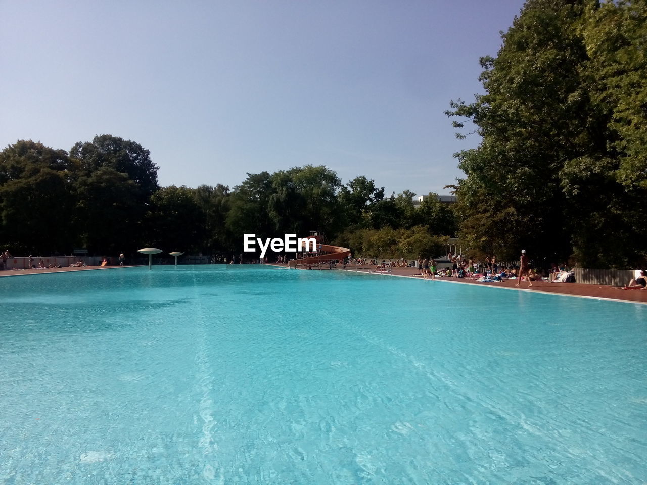 Swimming pool by trees against clear sky