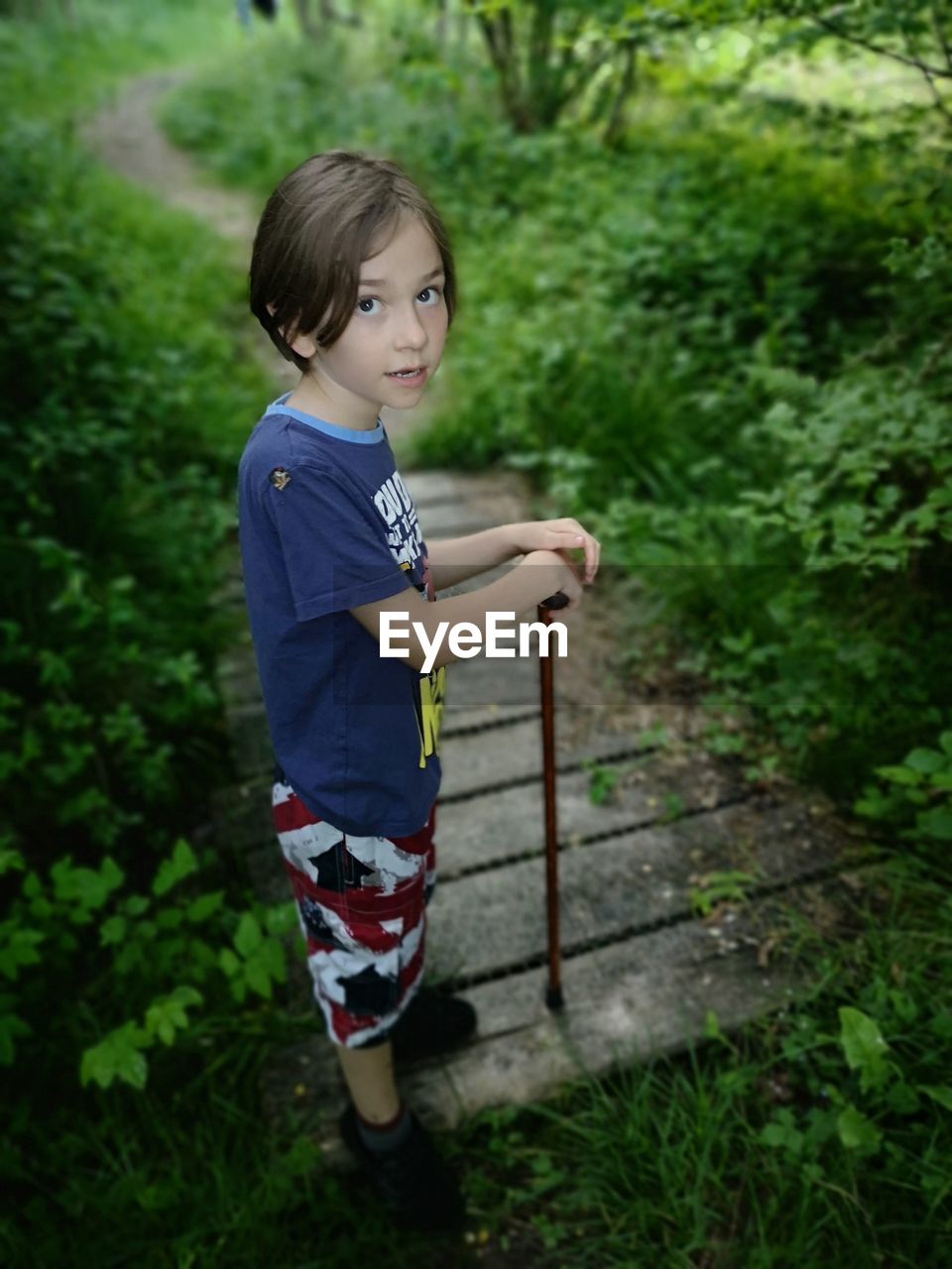 Full length portrait of cute boy standing in forest