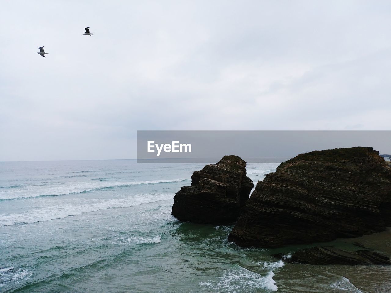 View of birds flying over sea against sky