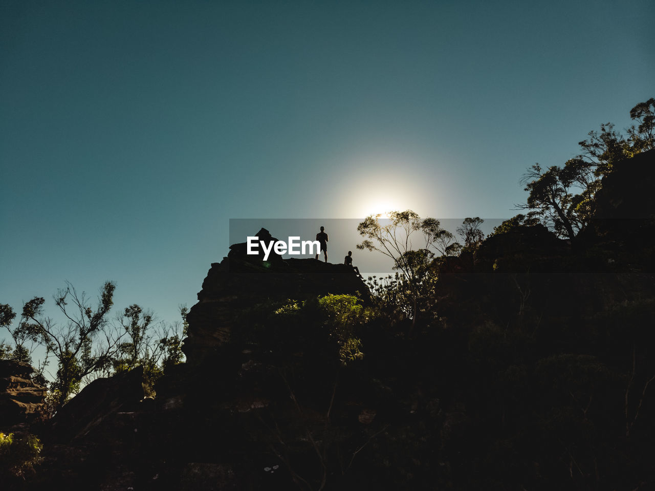 LOW ANGLE VIEW OF SILHOUETTE TREES AGAINST CLEAR SKY AT SUNSET