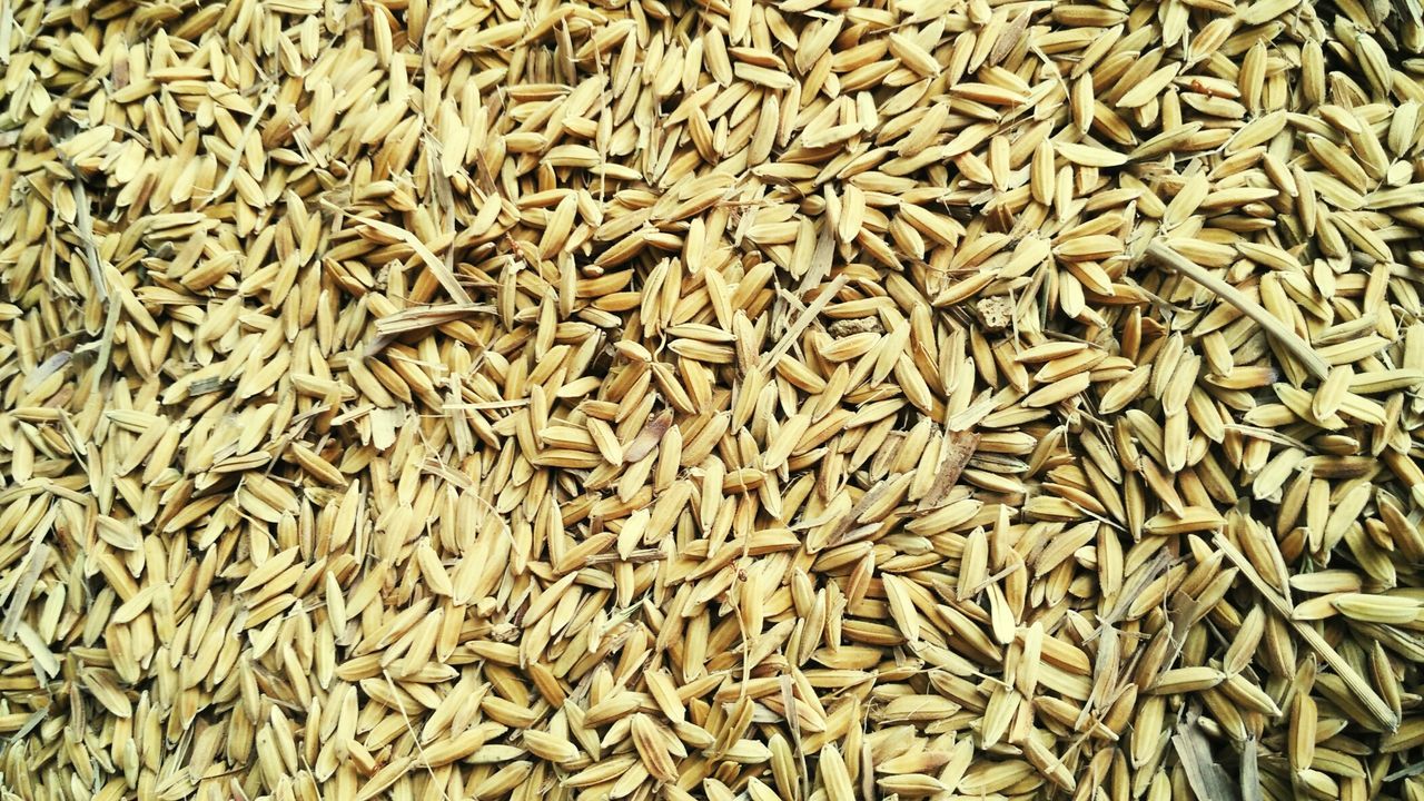 Full frame shot of rice staples