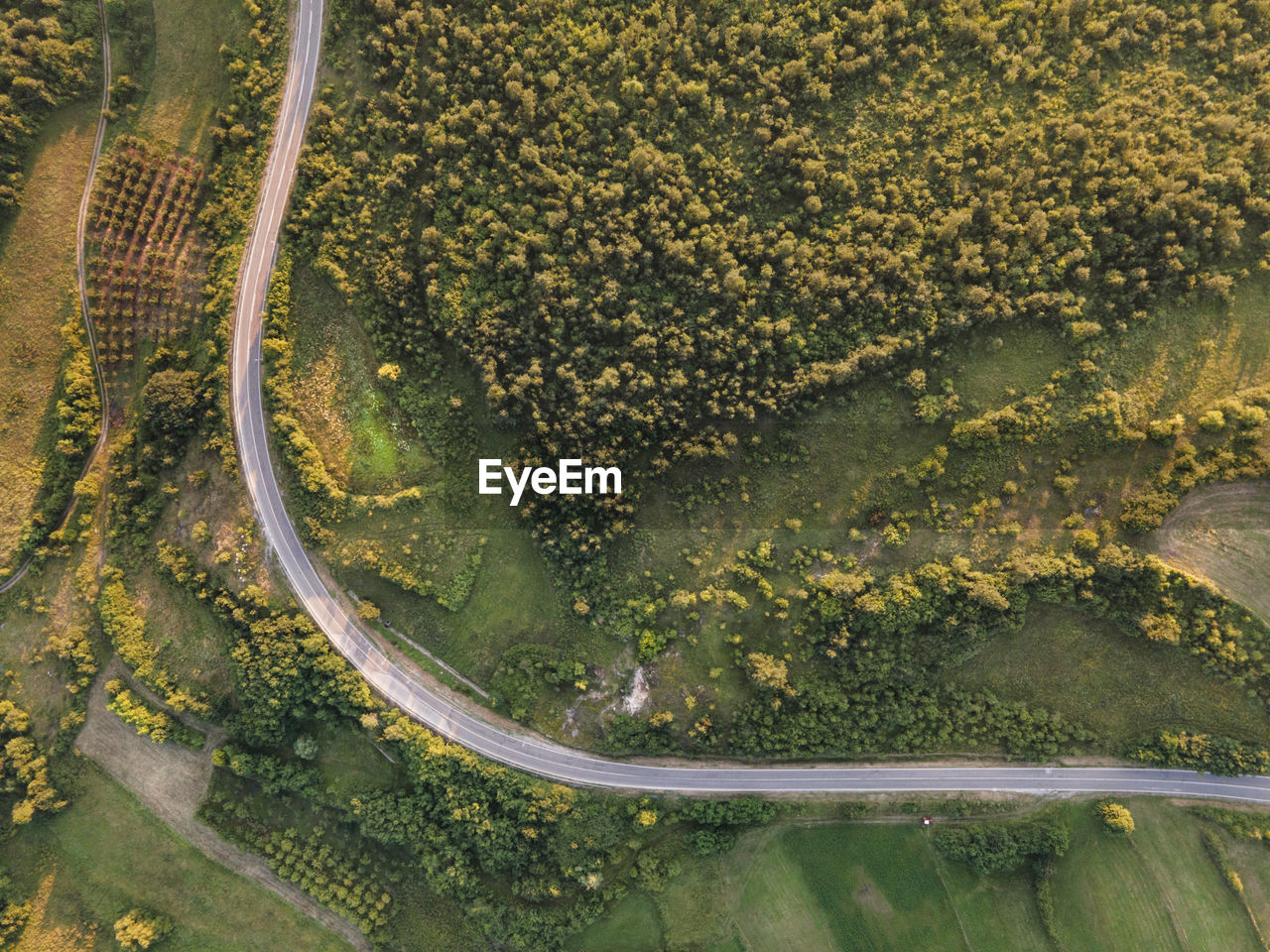 HIGH ANGLE VIEW OF ROAD AMIDST TREES SEEN THROUGH AIRPLANE