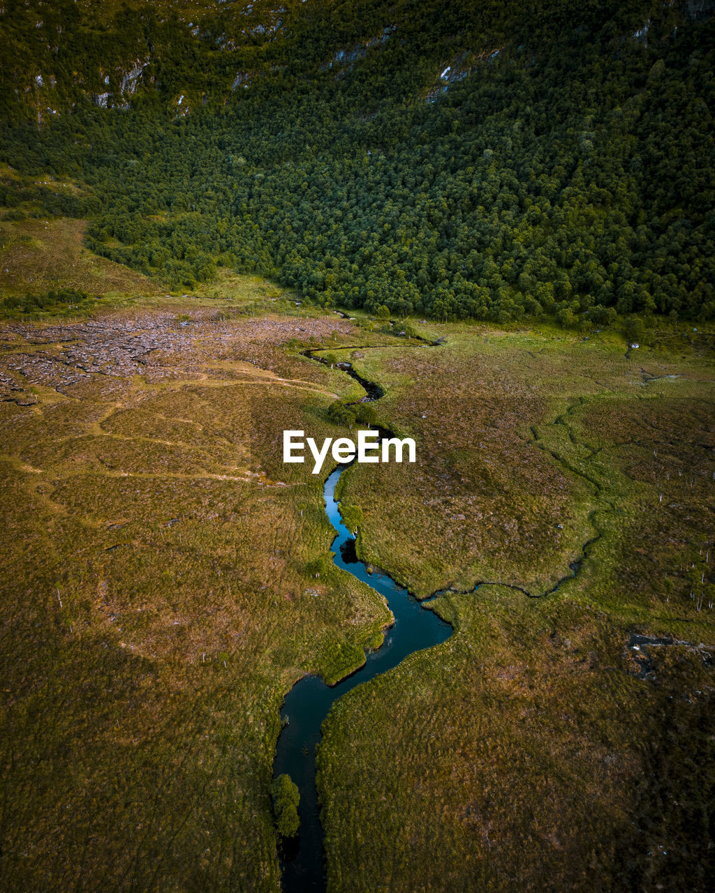 High angle view of plants on land