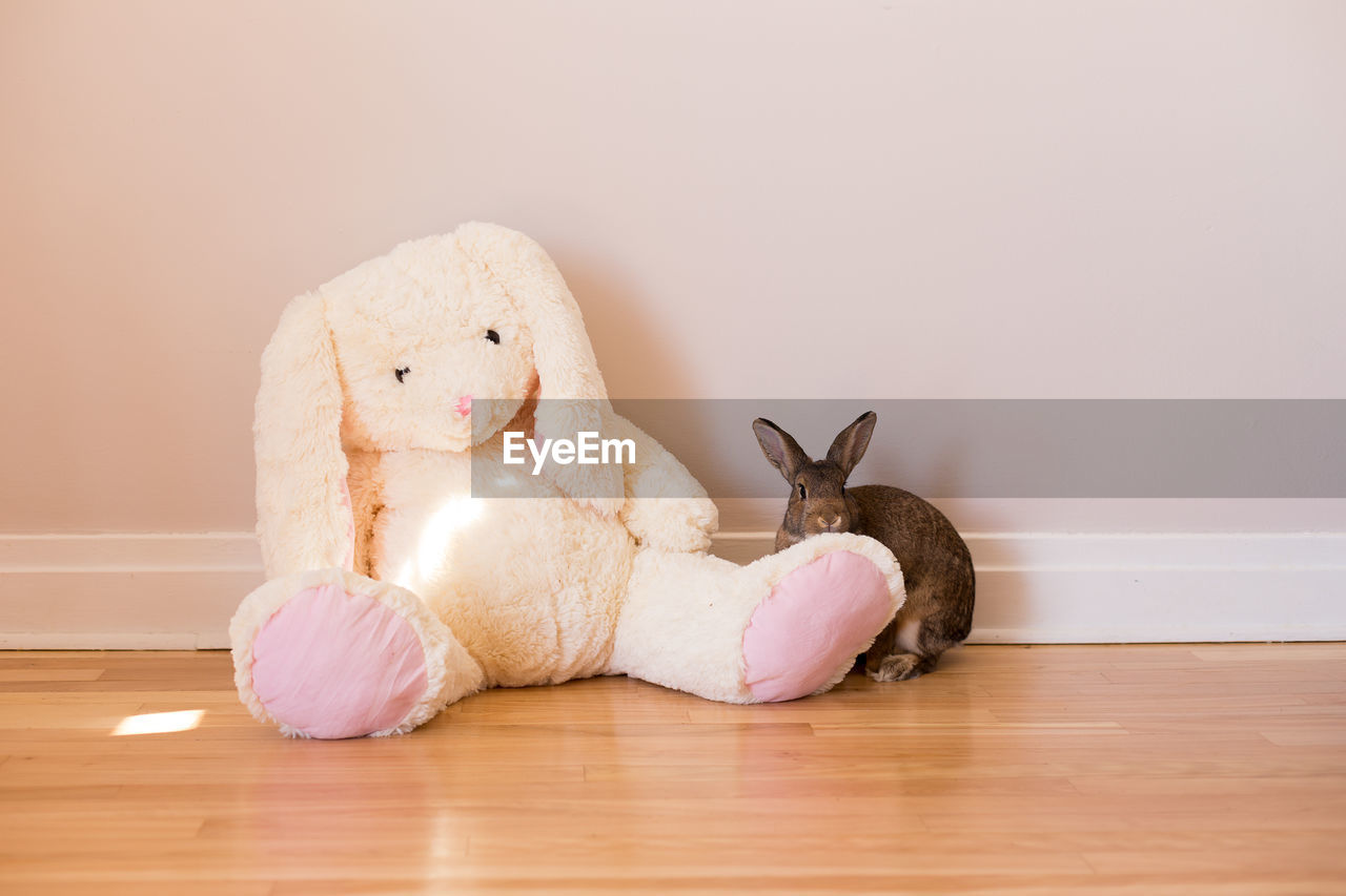 Cute brown rabbit hiding behind the leg of a large stuffed toy rabbit sitting on hardwood floor
