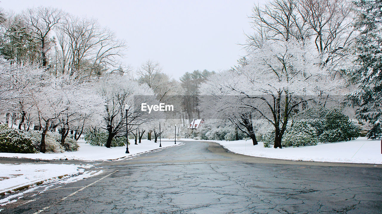 Snowy road amidst trees