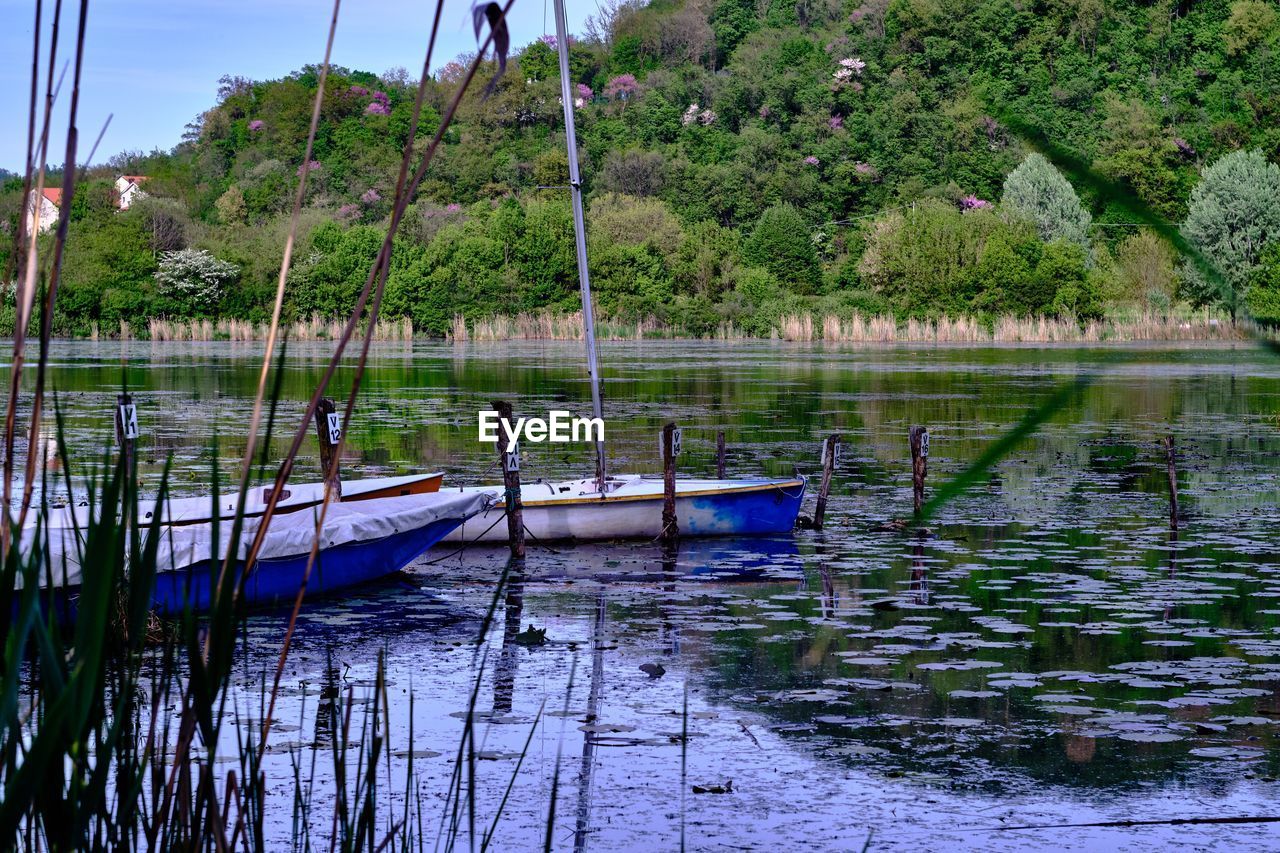 BOATS MOORED IN LAKE