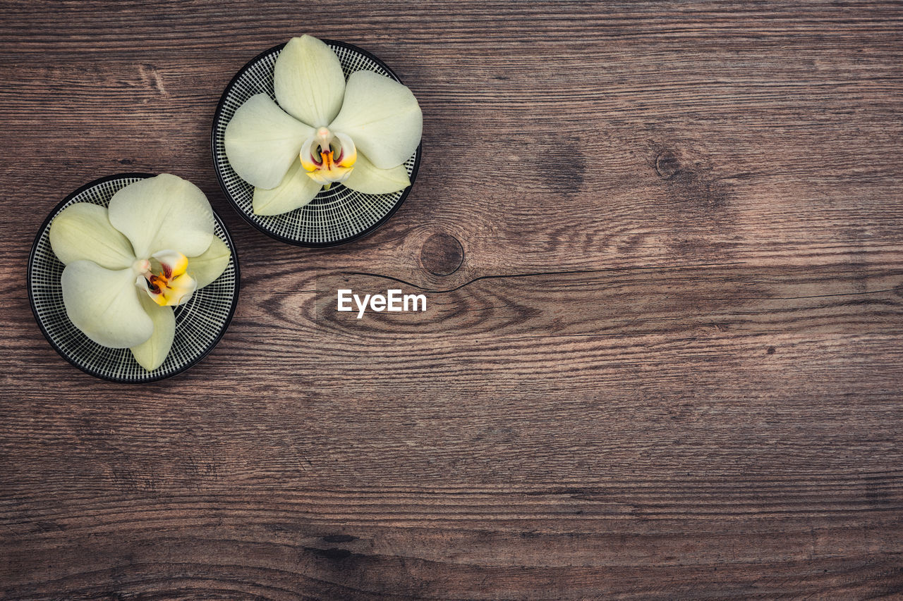 Orchids on a wooden board with little tea plates