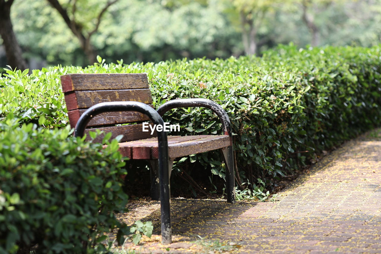EMPTY BENCH IN PARK AGAINST TREES