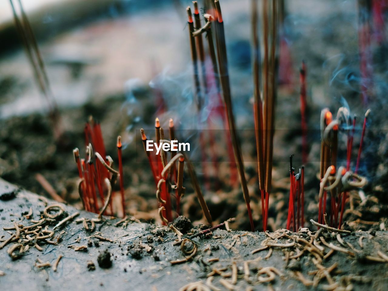 Close-up on burning incense at temple