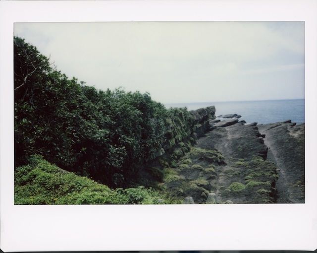 plant, tree, sky, nature, no people, scenics - nature, land, sea, beauty in nature, water, day, tranquility, picture frame, tranquil scene, horizon, outdoors, auto post production filter, frame, cloud, transfer print, copy space, landscape, environment, green