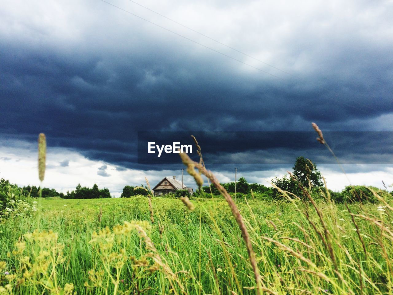 SCENIC VIEW OF FIELD AGAINST CLOUDY SKY