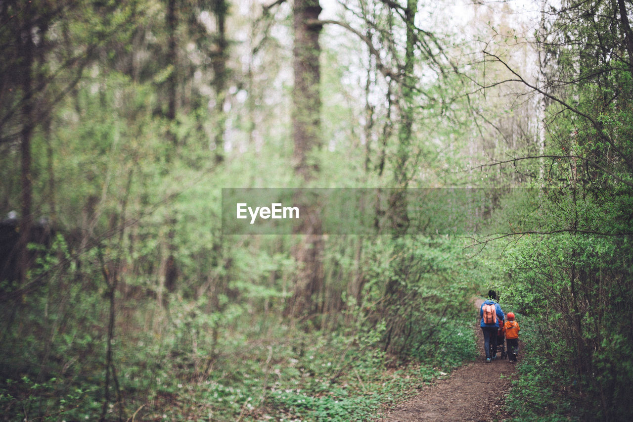 Rear view of mother and child walking on footpath in forest