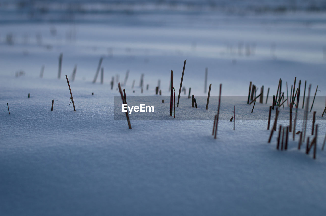 CLOSE-UP OF WOODEN POST IN WATER