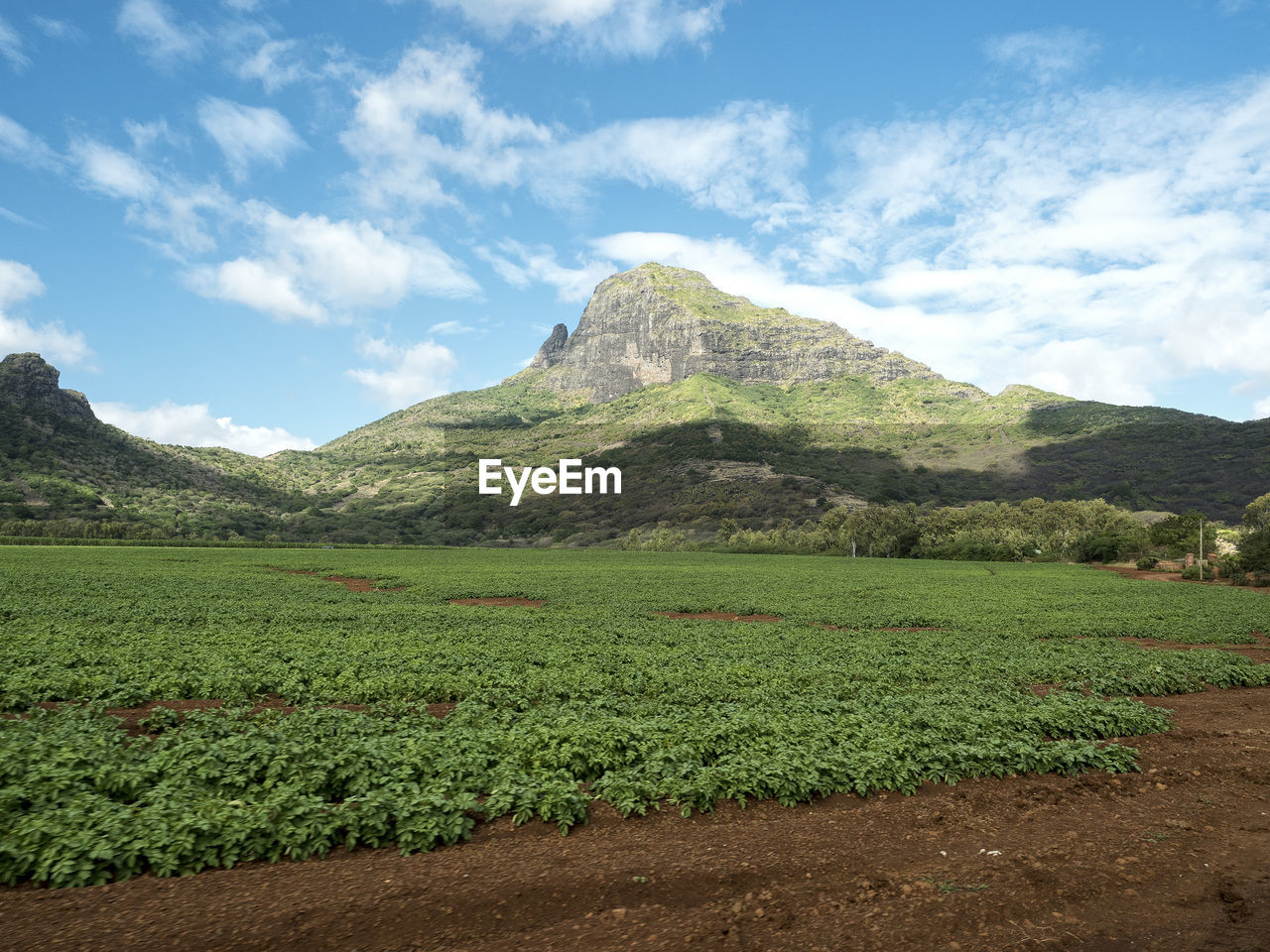 SCENIC VIEW OF FIELD BY MOUNTAIN AGAINST SKY