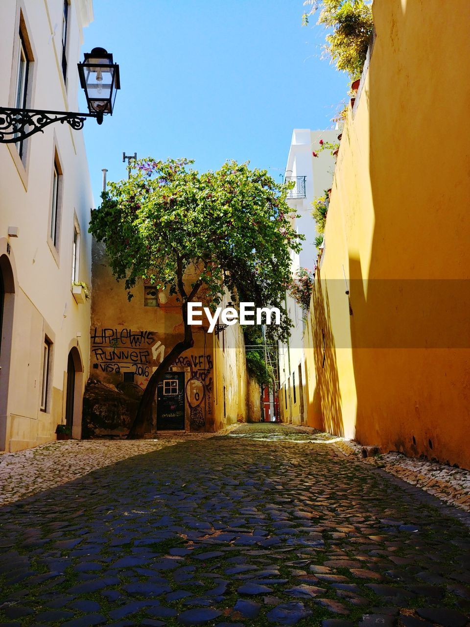 Alley amidst trees and buildings against sky