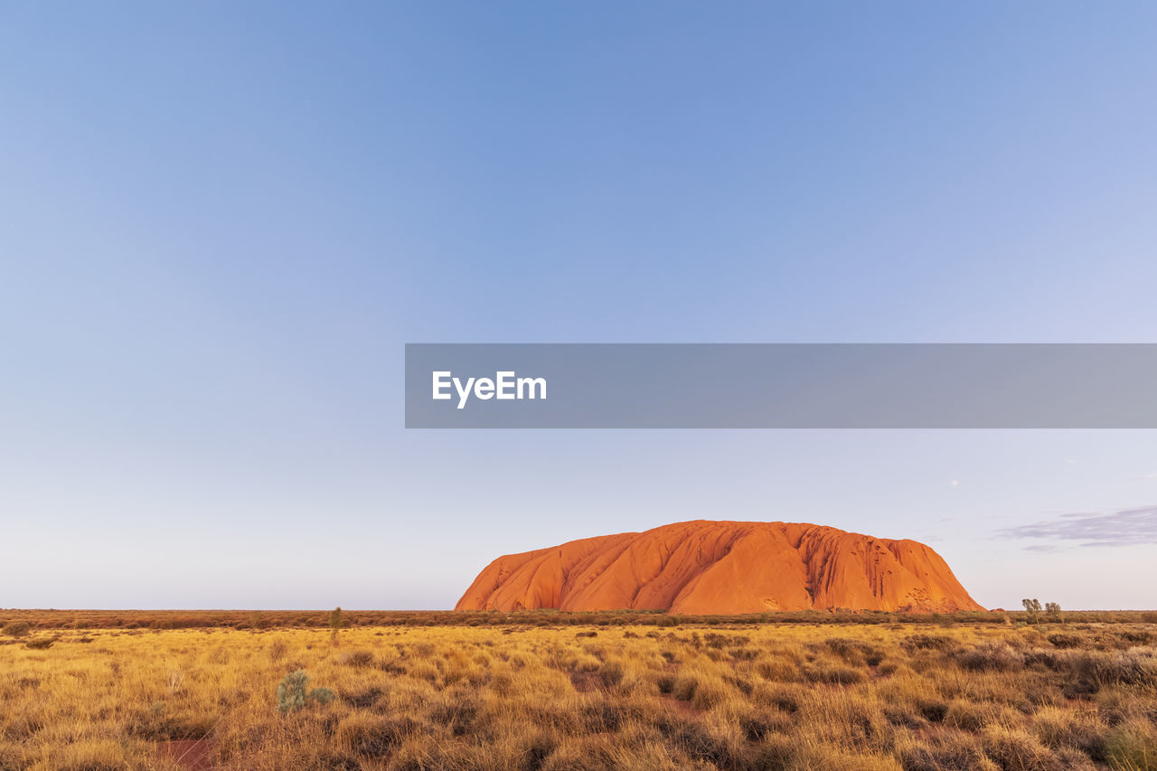 Australia, northern territory, clear sky over uluru (ayers rock) at dusk