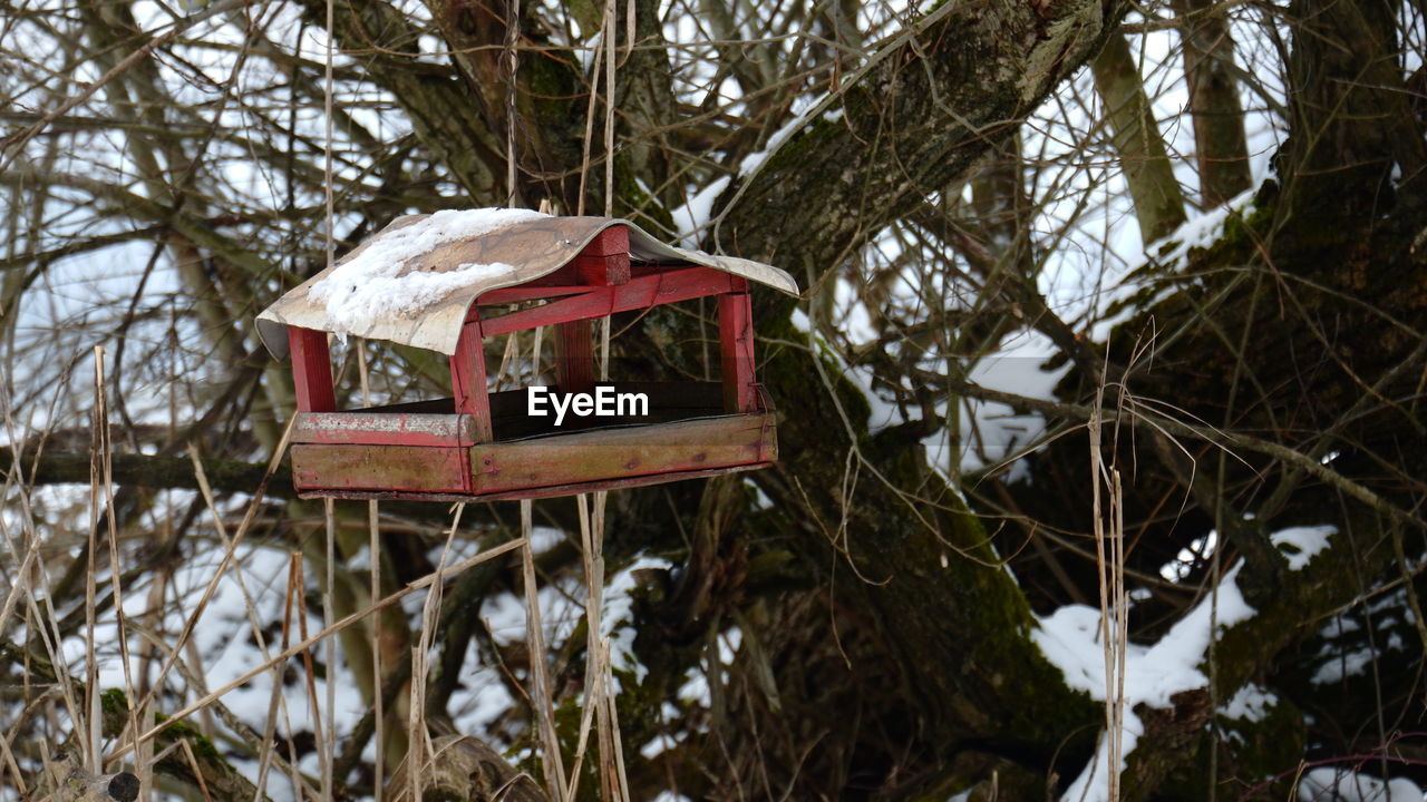 CLOSE-UP OF RED BIRDHOUSE ON TREE