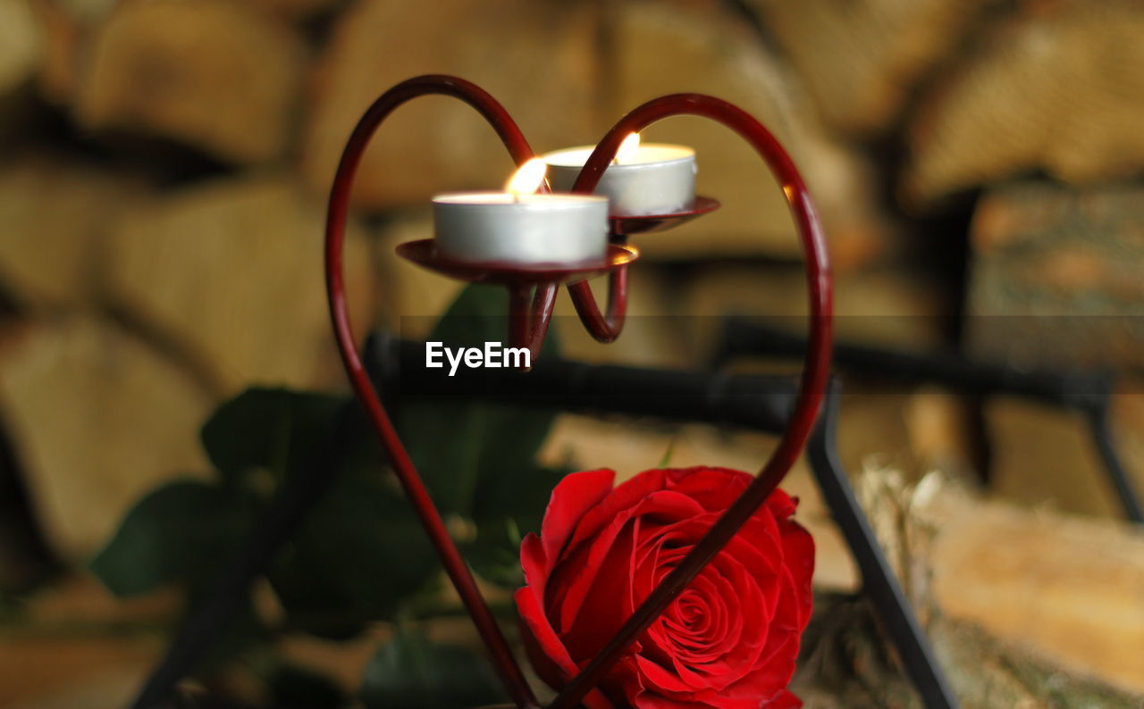 Tea light candles on heart shaped holder with red rose