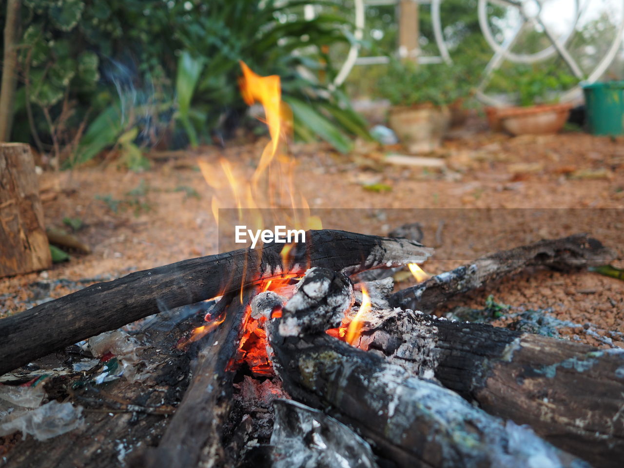 Close-up of bonfire on log