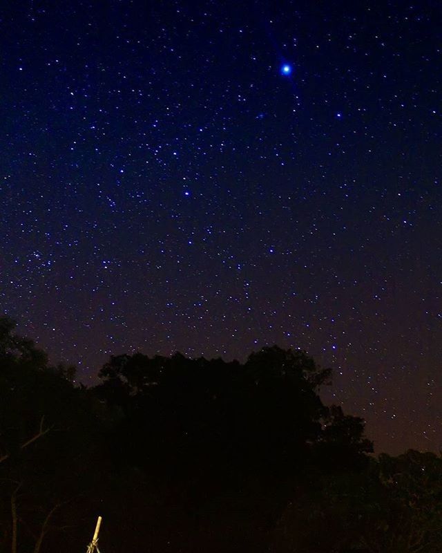 LOW ANGLE VIEW OF STARS IN SKY